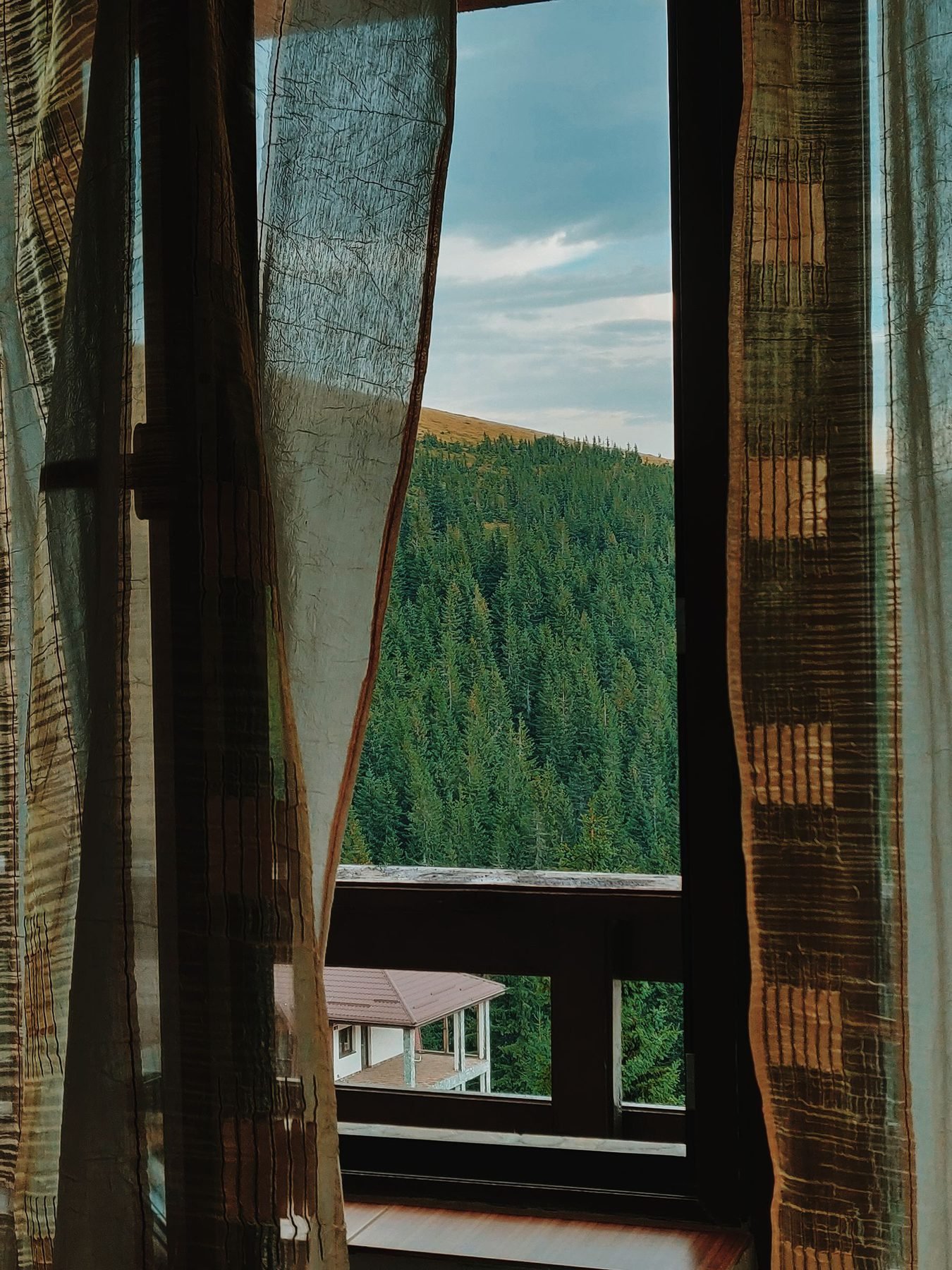 Open window with curtains framing a view of green forest