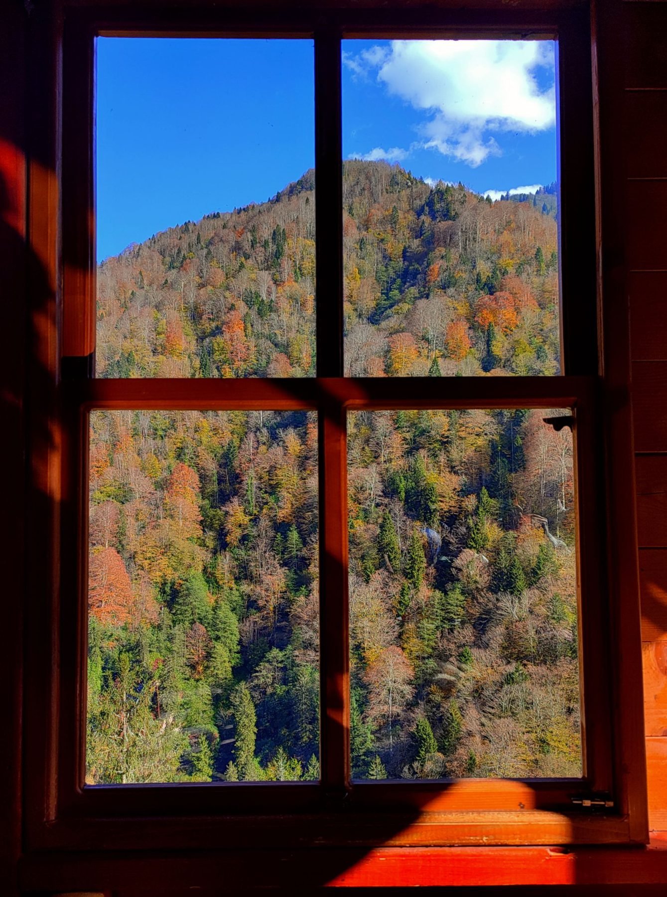 Mountain and forest landscape through a wooden window frame