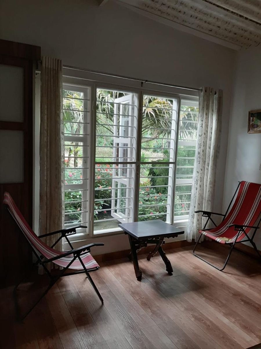Mesh-fitted windows in a sunlit living room