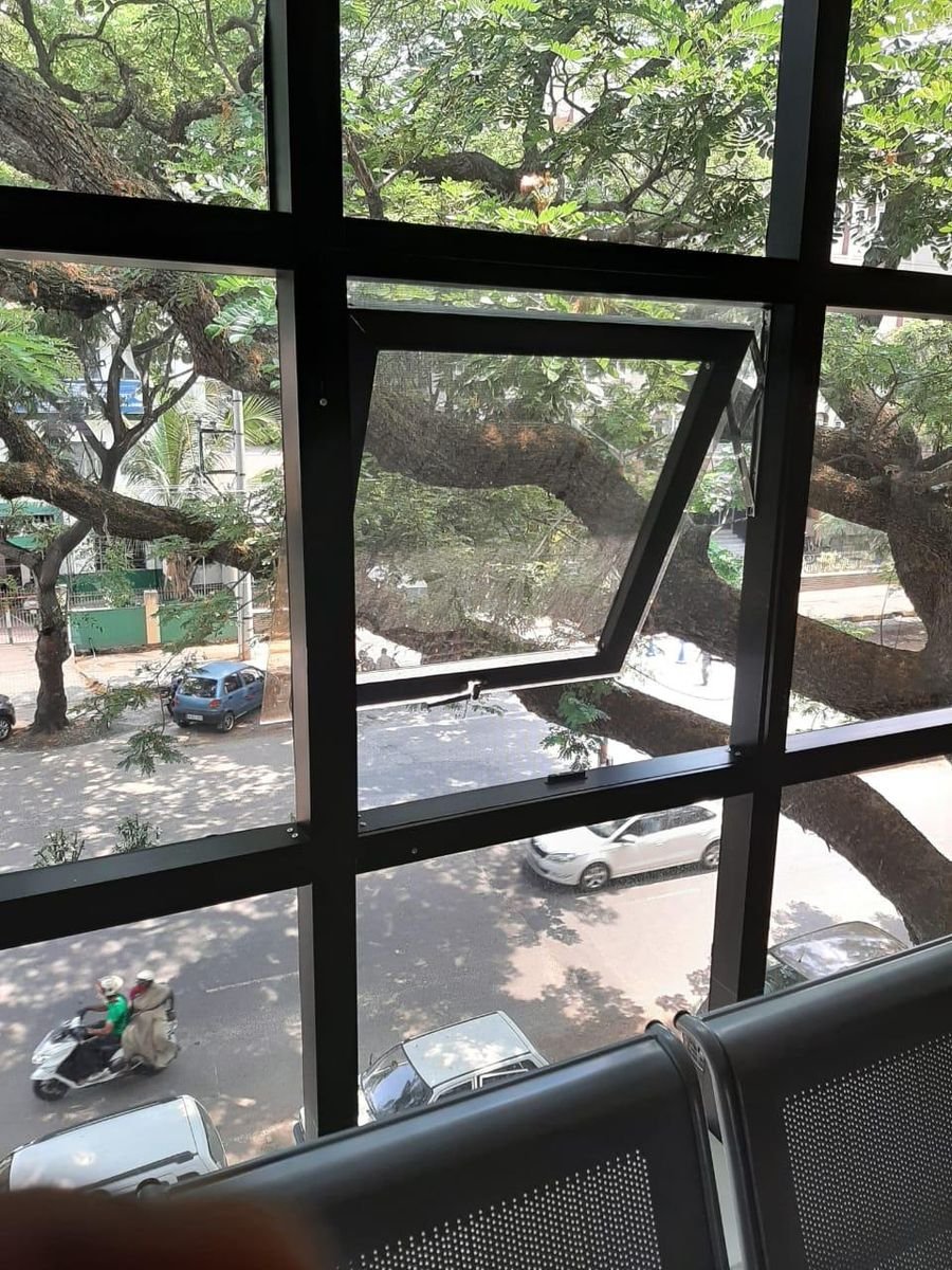 Mesh on openable aluminium windows overlooking trees